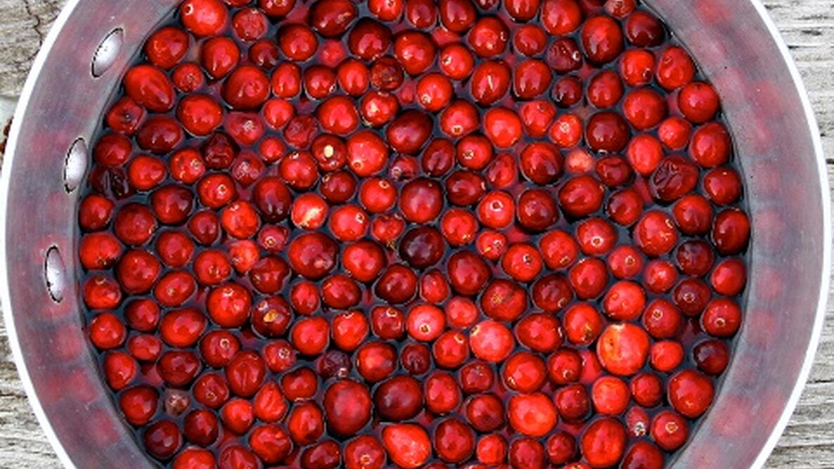 cranberries in a bowl with water