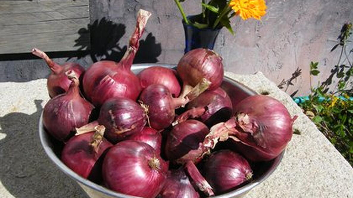 red onions in a bowl