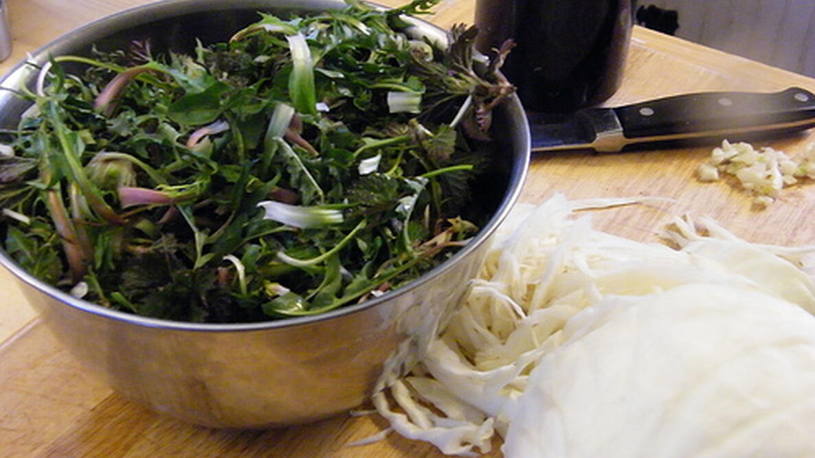 spring nettles and dandelion greens in a bowl