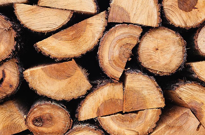 Best Firewood To Burn Chart