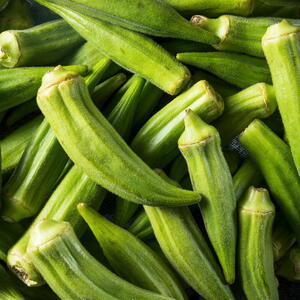 harvested okra pods