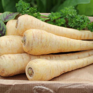 clean parsnips on paper
