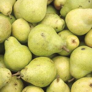 a pile of green pear fruits
