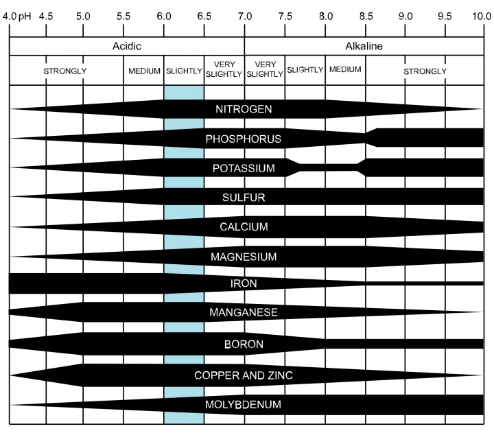 Availability of nutrients at different pH levels. Image by CoolKoom/Wikimedia.