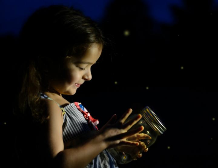 fireflies-jar-attract-lightning-bugs.jpg
