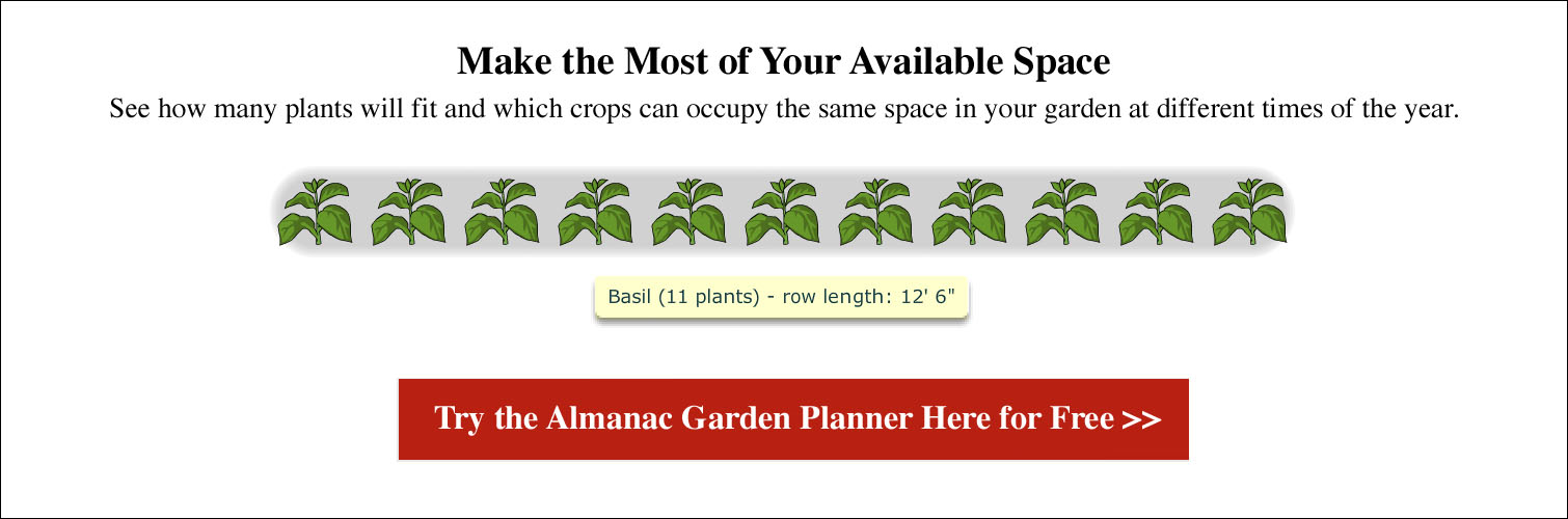 Tree Planting Spacing Chart