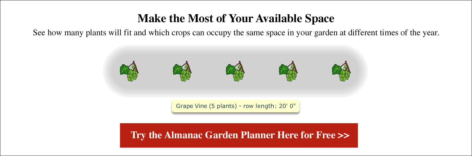 Vine Spacing Chart