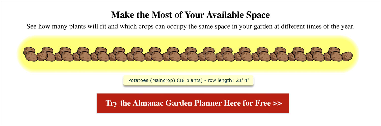 Potato Seed Spacing Chart