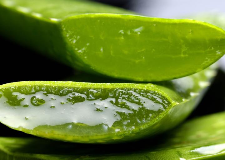 Aloe vera cut open to expose the aloe vera gel