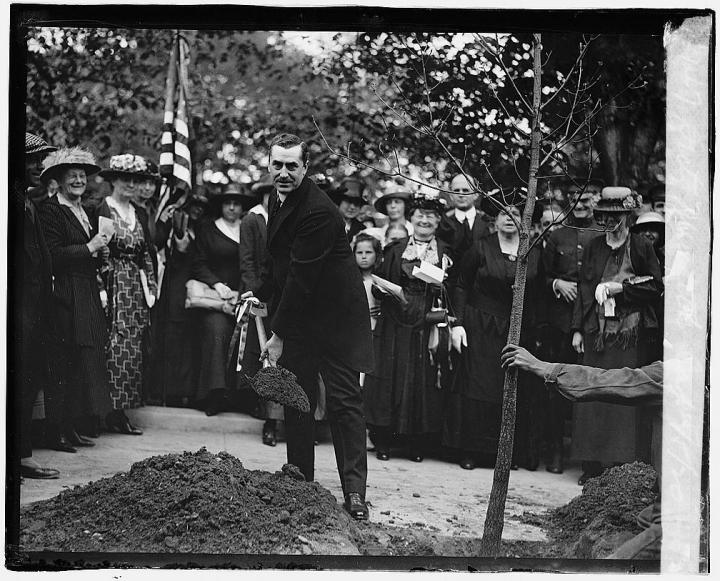 Sec. of Agriculture Edwin T. Meredith and the District Federation of Women's Clubs plant a tree in honor of J. Sterling Morton, founder of Arbor Day. Photo from Library of Congress.