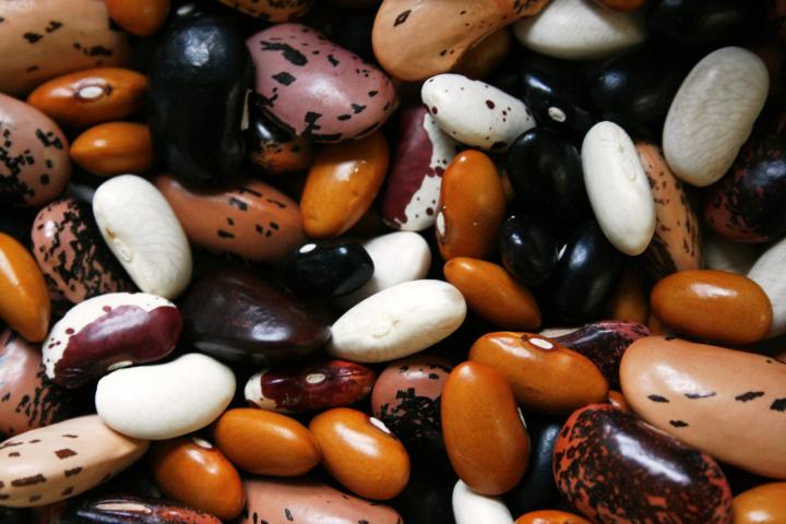 beans-1001032_1280_full_width.jpg