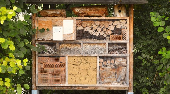 Bee house with multiple nesting materials.