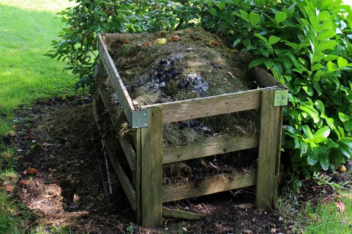 compost-419259_1920_full_width.jpg