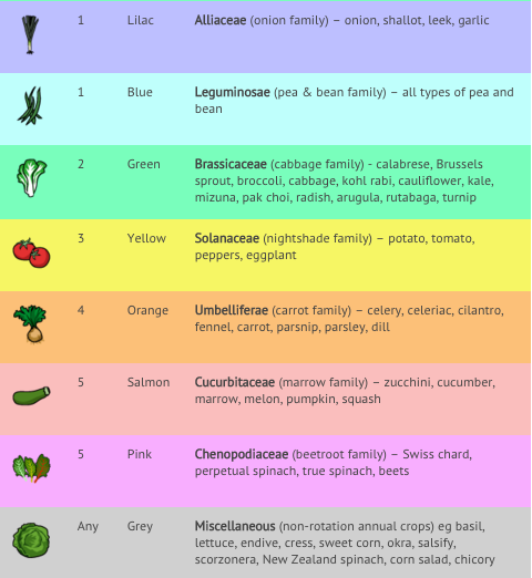 Crop Rotation Chart Vegetable Gardening