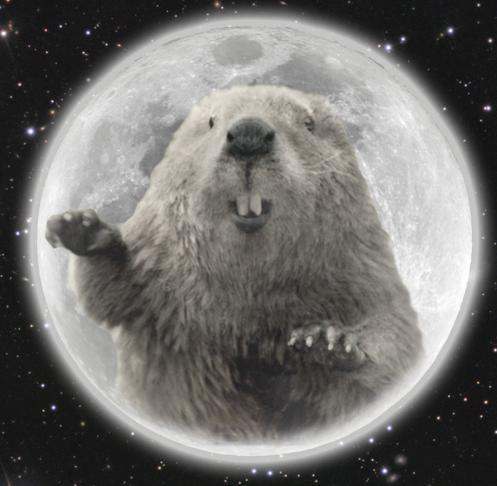 full-beaver-moon-cover.jpg