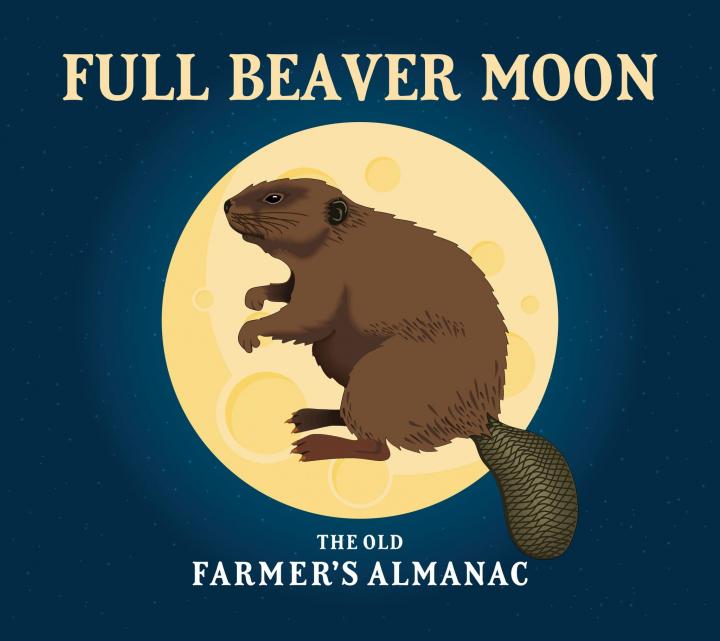 Full Beaver Moon old farmers almanac graphic