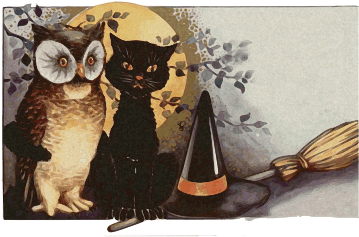 Halloween cat and owl