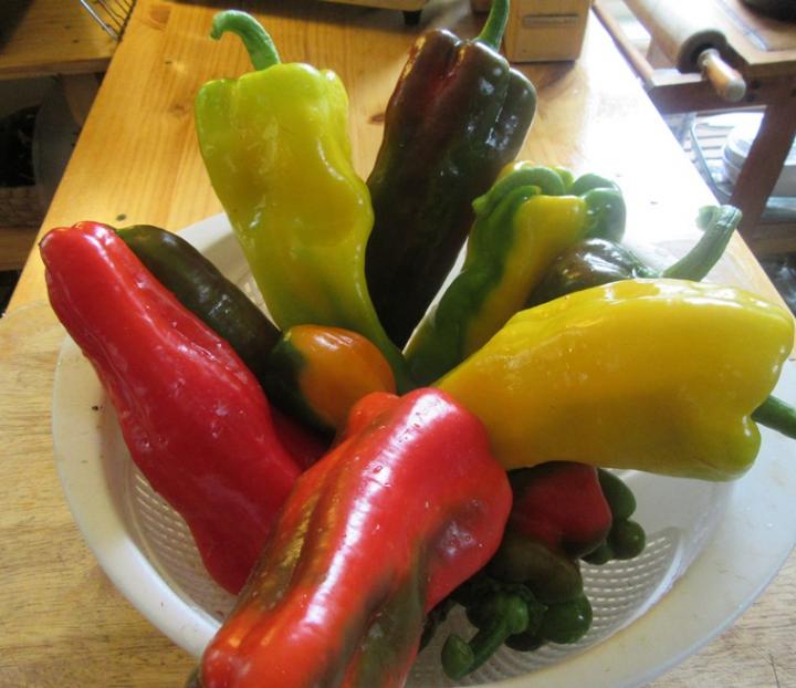 peppers1_full_width.jpg
