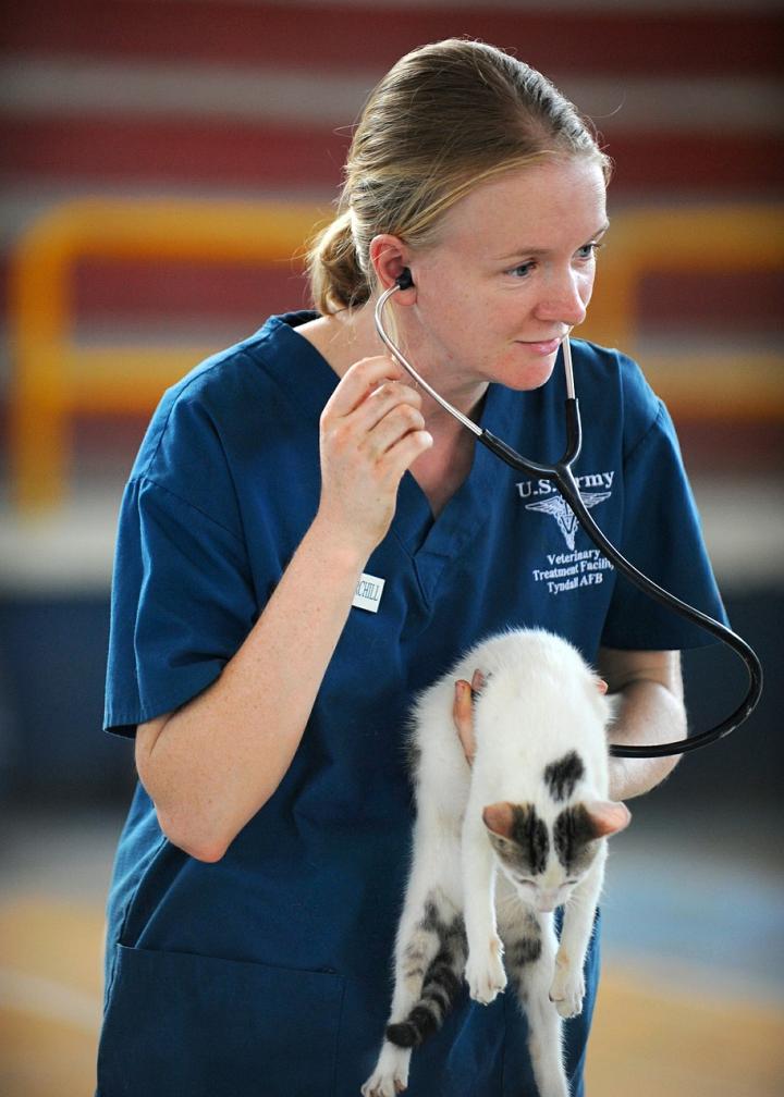 pet-health-veterinarian.jpg