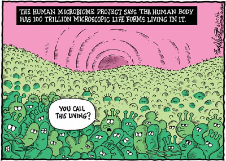 research-microbiome_0.jpg
