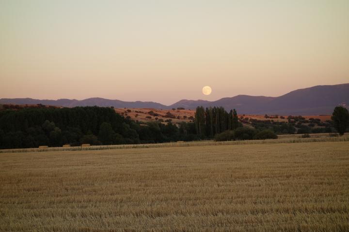 Low full moon over a field