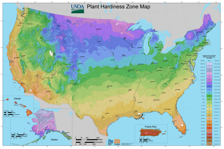 Hardiness Zone Chart