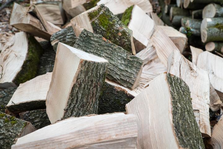 Best Firewood: Heat Values and Wood-Burning Tips