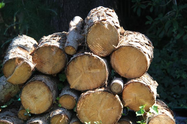 wood-pile_full_width.jpg