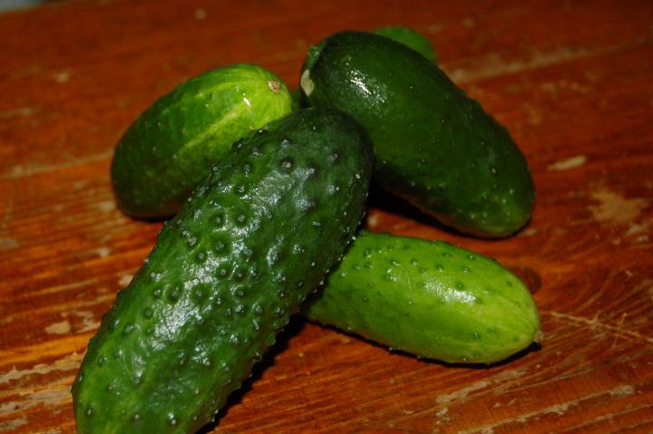 cucumbers-950670_1920_full_width.jpg