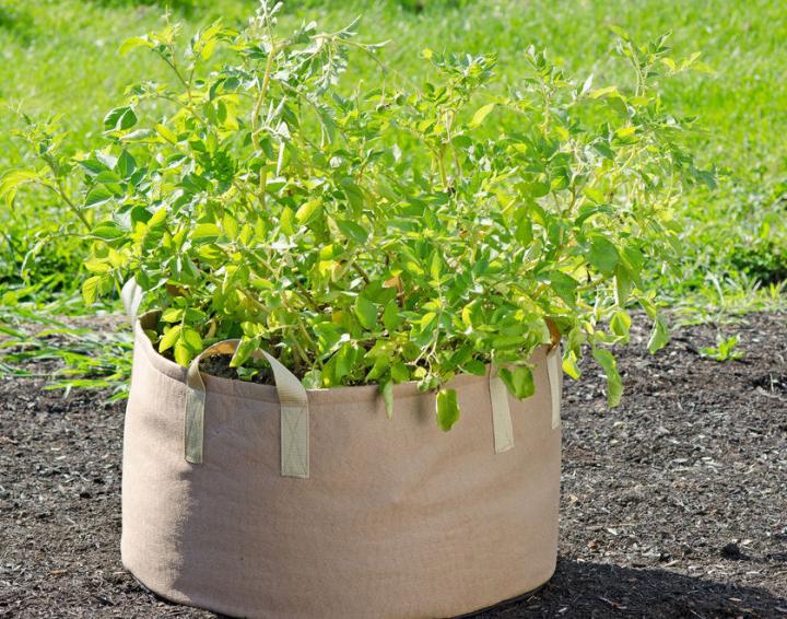 Vegetable Planting Grow Bag Potato Cultivation Garden DIY Pot Planters Basket 