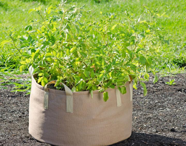 Potato Grow Bag Tomato Planting Bag PE Fabric Root Pots Vegetable