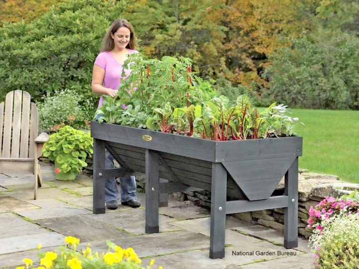 Container Gardening With Vegetables Getting Started The Old