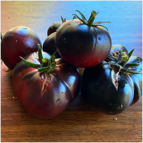 achter oneerlijk tafereel Blue Tomato Varieties: Delicious and Extra-Nutritious! | Almanac.com