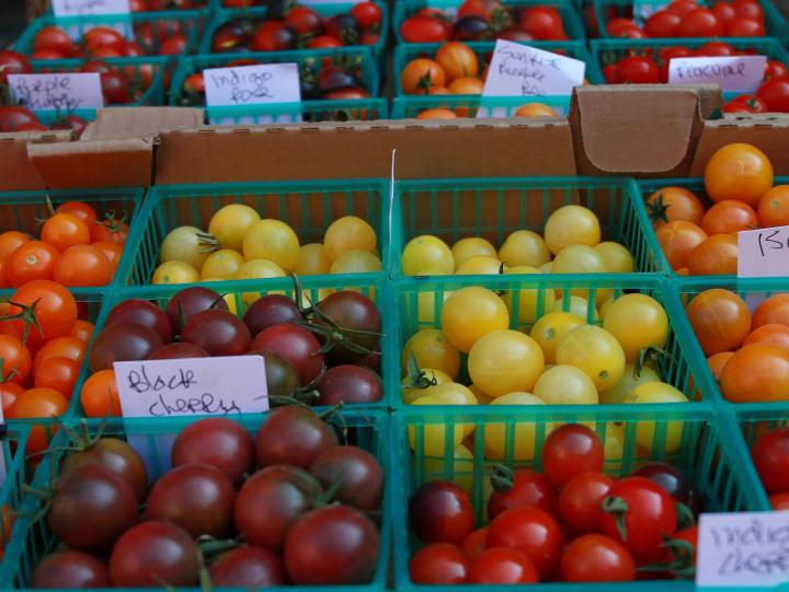 Tomato Variety Chart