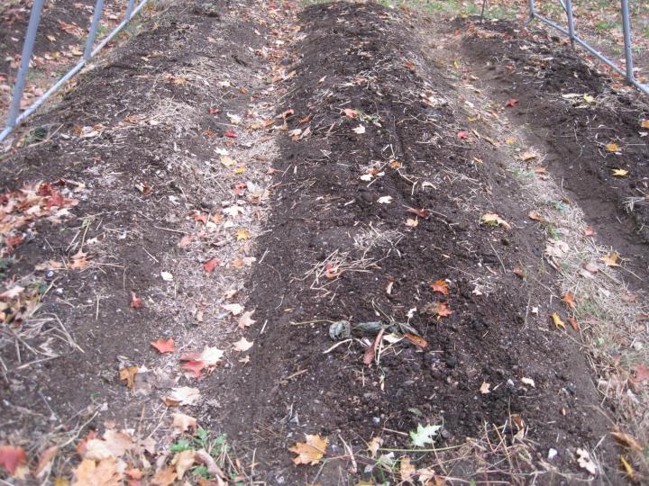 How to Build a Raised Garden Bed: Step by Step Guide