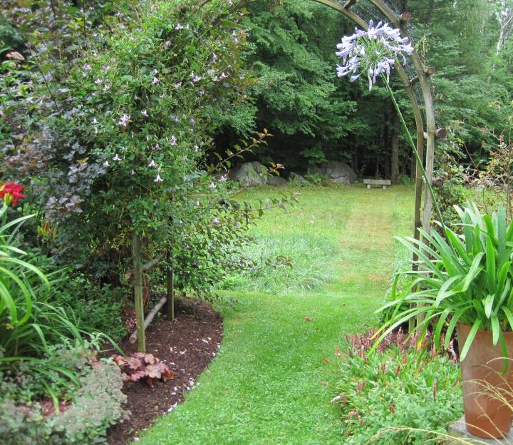 Landscape Design Ideas And Advice For, How To Plant Landscape Your Yard