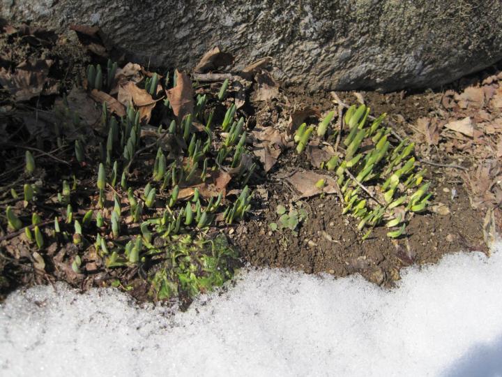 spring_cleanup_010_full_width.jpg