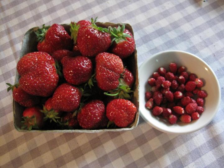 strawberries_008_full_width.jpg