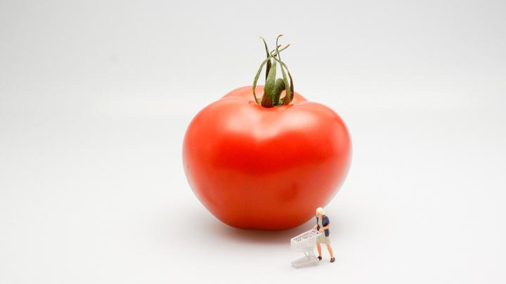 tomato-546958_1280_full_width.jpg