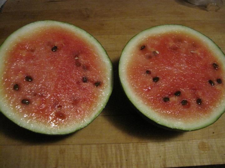 watermelon_006_full_width.jpg