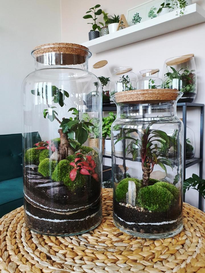 How To Make A Terrarium The Best, Large Glass Terrarium Jars