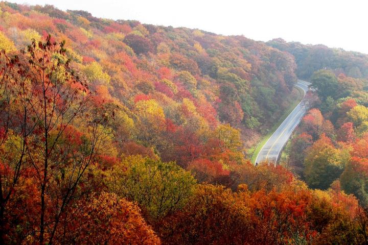 Autumn mountains, NC
