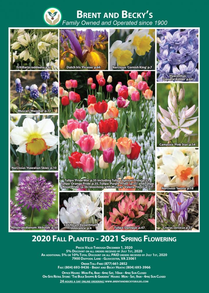 FLOWER SEED CATALOGUE COVER GARDEN GREENHOUSE ALLOTMENT METAL SIGN PLAQUE 2718