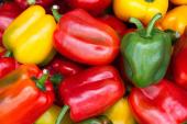bell-peppers-assorted-crop_quarter_width.jpg