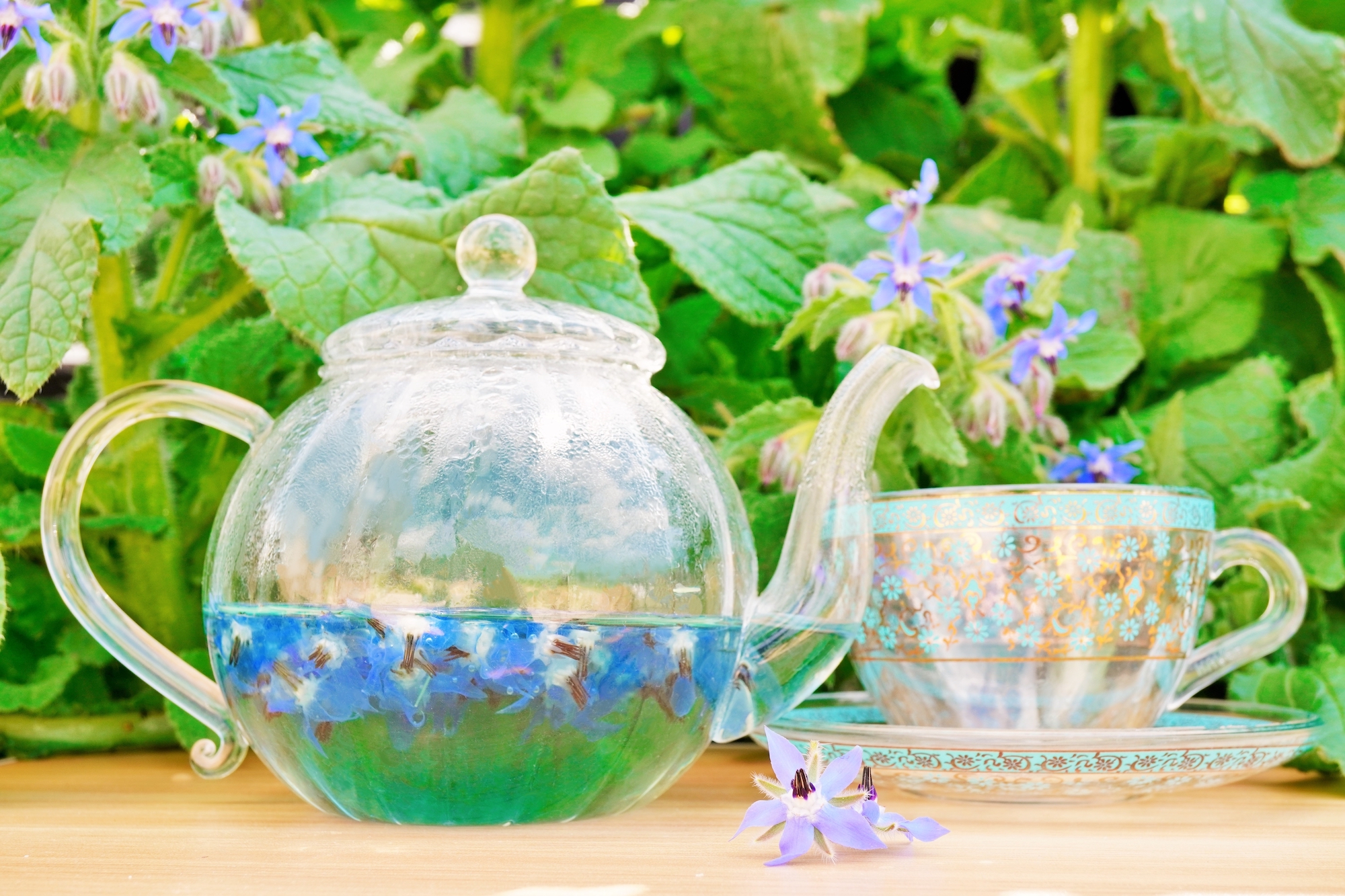 A glass teapot brewing borage tea outside on a table next to a teacup and saucer.