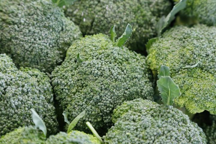 Close-up of broccoli heads