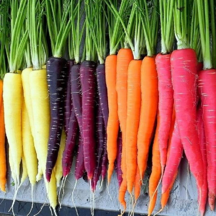 carrot-rainbow_full_width.jpg