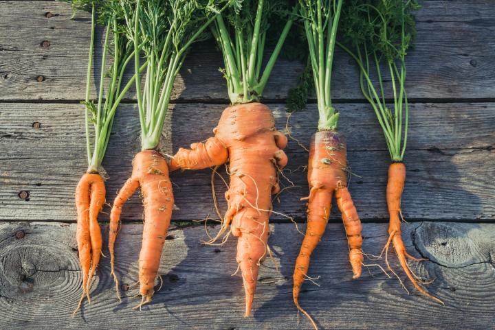 carrots-weird-shutterstock_418145557_1.jpg