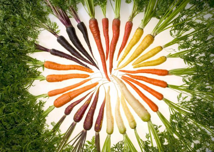 Carrots of many colors. Photo by USDA/Wikimedia