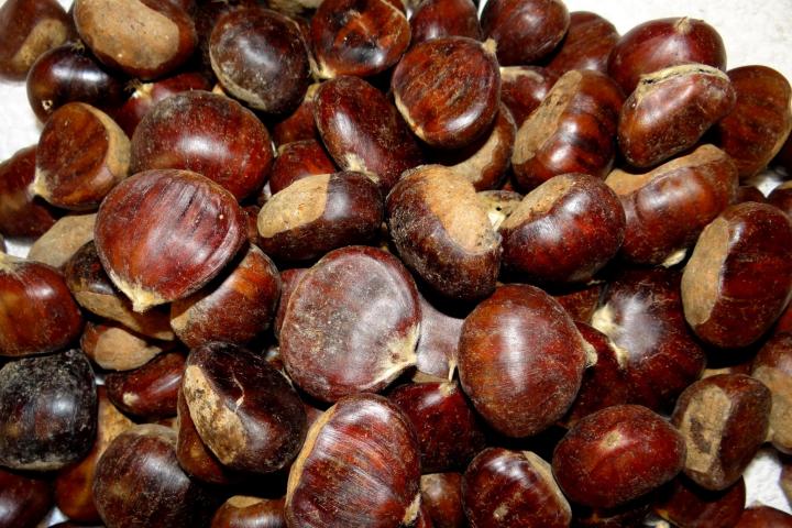 chestnuts_full_width.jpg